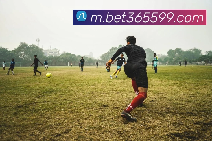 bet365中国官网平台生态图